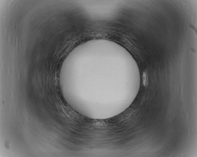 X0000101651395200807100928