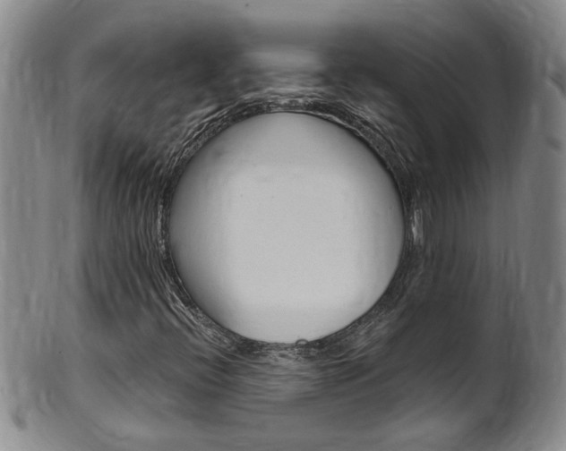 X0000101651396200807100928