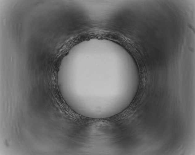 X0000101651397200807100928
