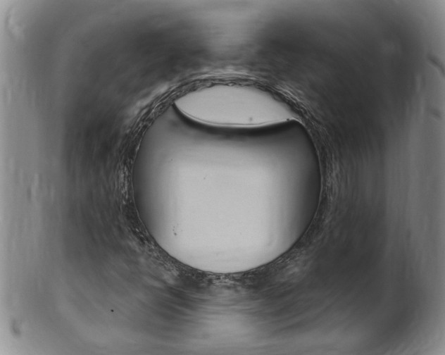 X0000101651398200807100928