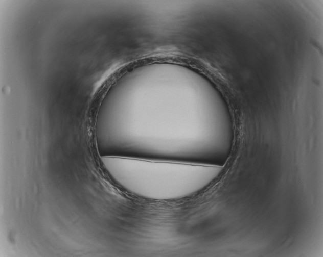 X0000101651400200807100928