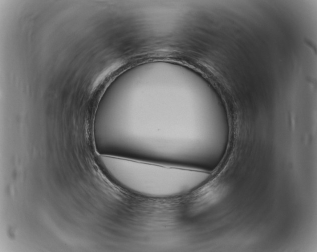 X0000101651402200807100928