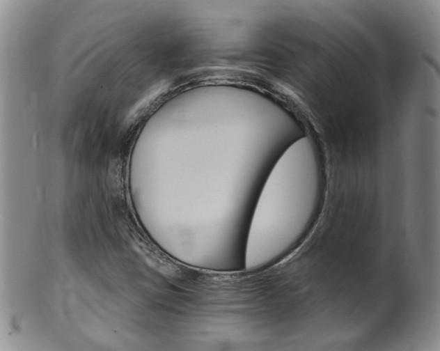 X0000101651403200807100928