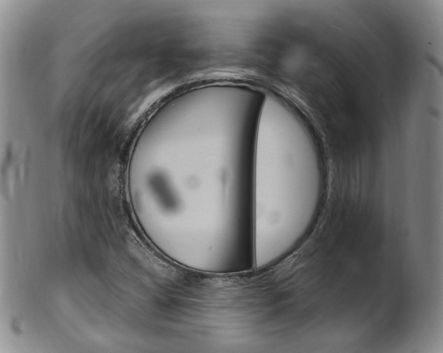 X0000101651404200807100928