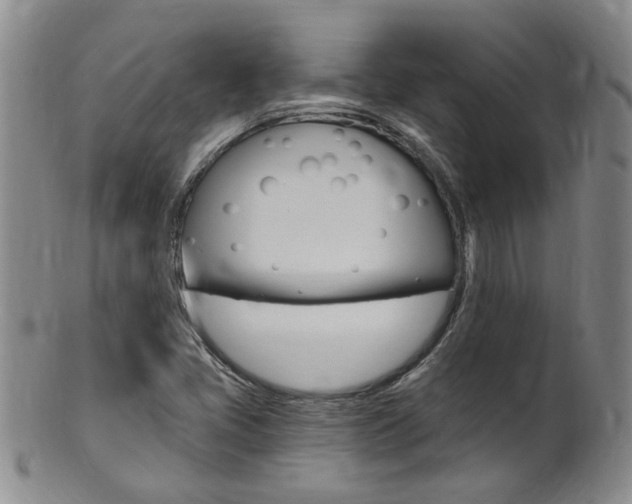 X0000101651405200807100928