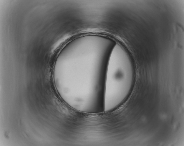 X0000101651406200807100929