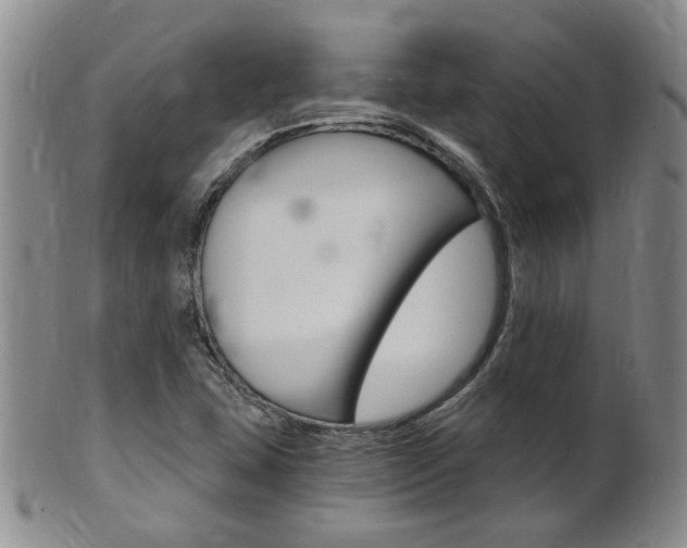 X0000101651407200807100929