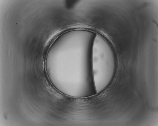 X0000101651408200807100929