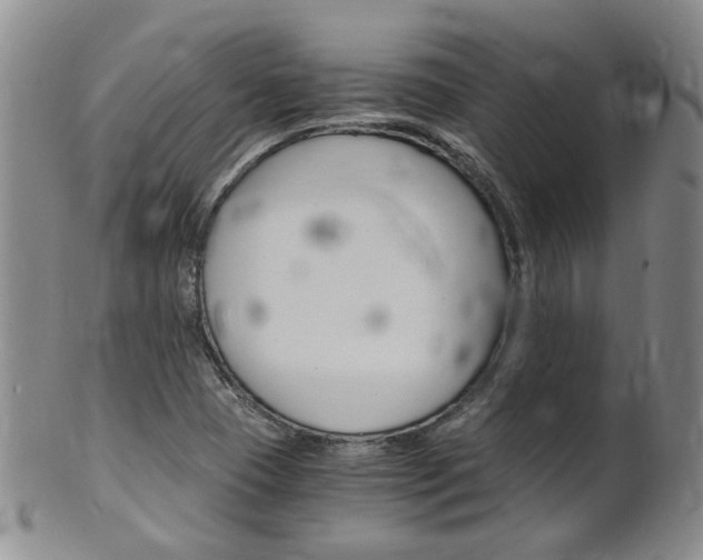 X0000101651409200807100929