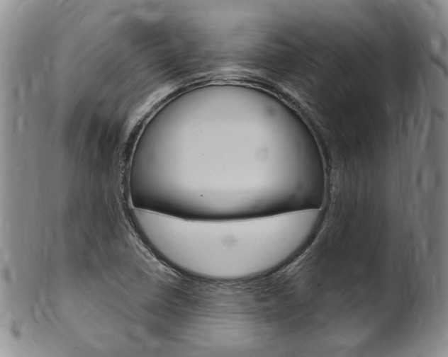 X0000101651410200807100929