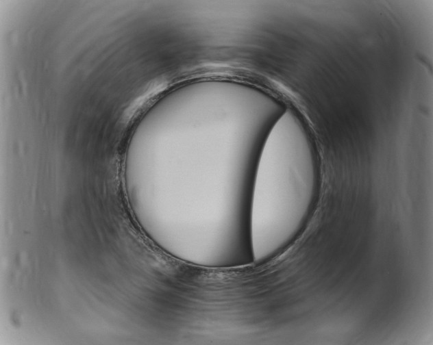 X0000101651411200807100929