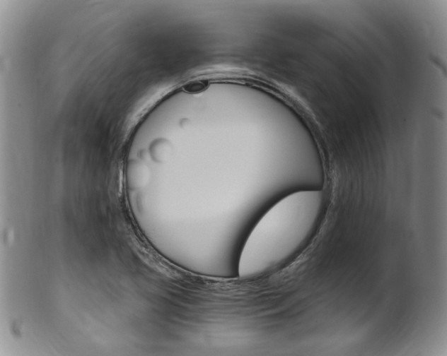 X0000101651413200807100929