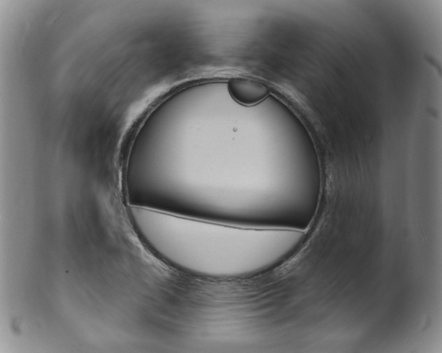 X0000101651414200807100929
