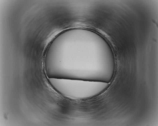 X0000101651415200807100929