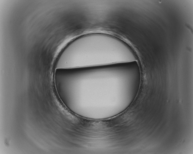 X0000101651416200807100929
