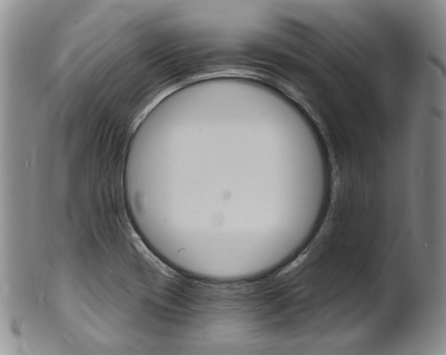 X0000101651417200807100929