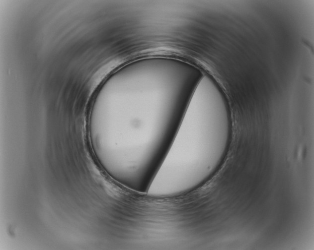 X0000101651418200807100929