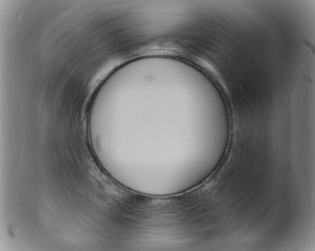 X0000101651419200807100929