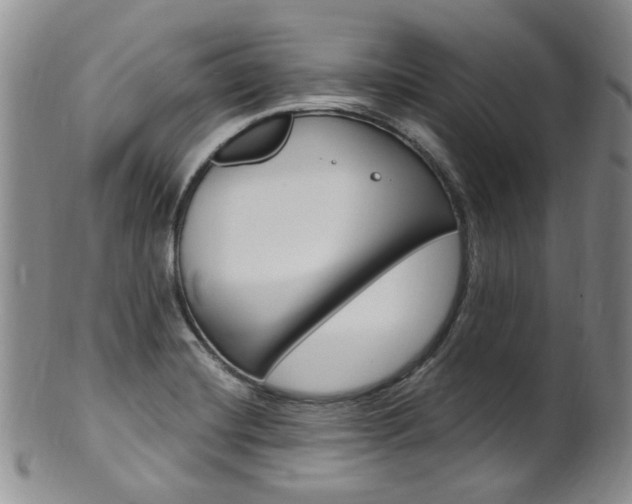 X0000101651420200807100929