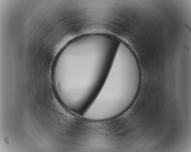 X0000101651422200807100929