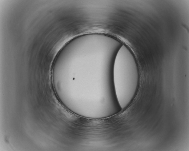 X0000101651423200807100929