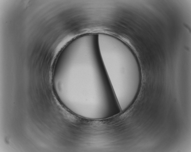 X0000101651424200807100929