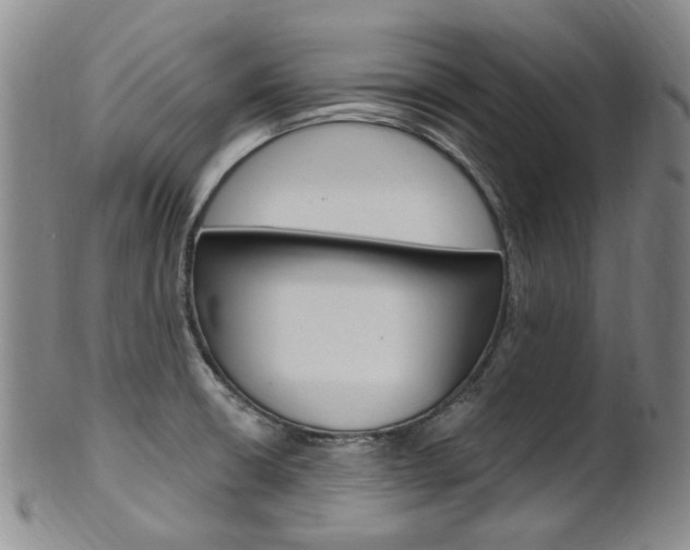 X0000101651426200807100929