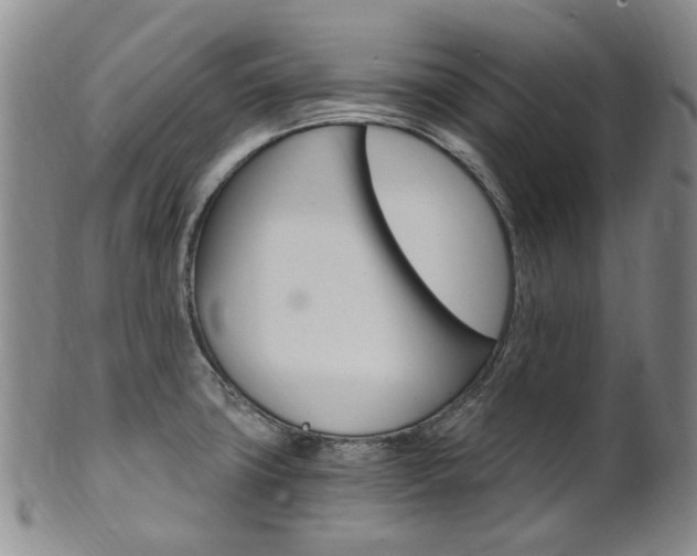 X0000101651427200807100929