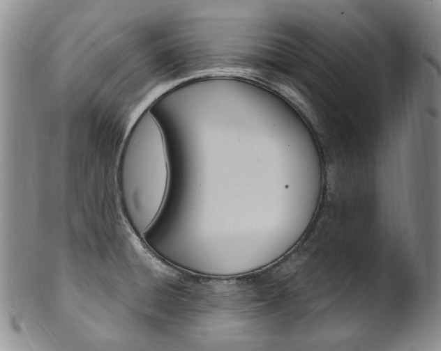 X0000101651428200807100929