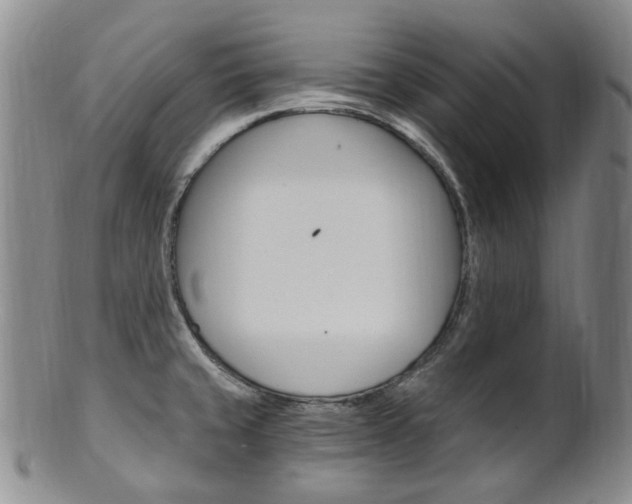 X0000101651429200807100929