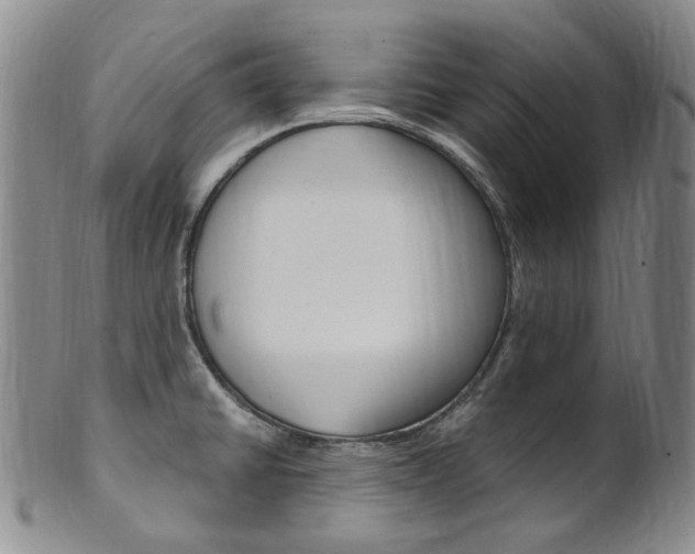 X0000101651430200807100929