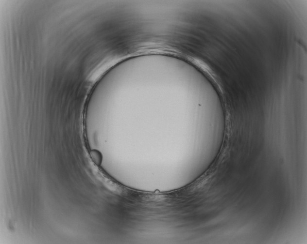 X0000101651431200807100929