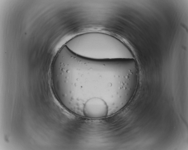 X0000101651432200807100929