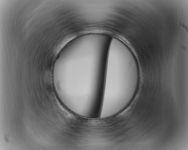 X0000101651433200807100929