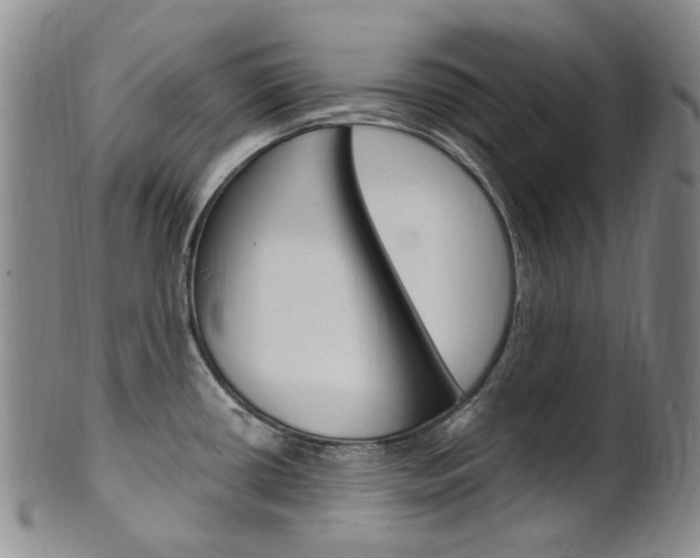 X0000101651434200807100929