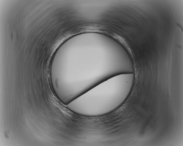 X0000101651435200807100929