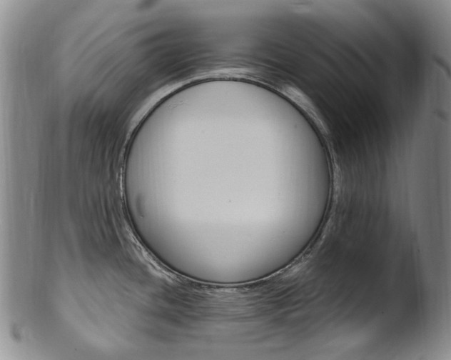 X0000101651436200807100929