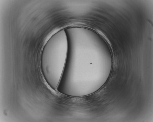 X0000101651437200807100929