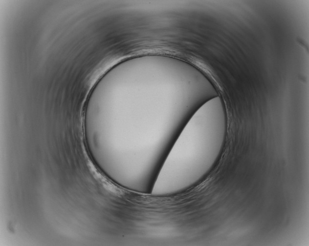 X0000101651439200807100929