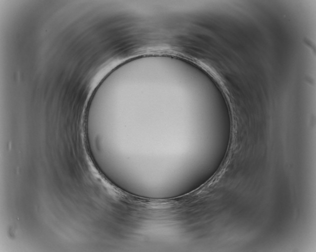 X0000101651440200807100929