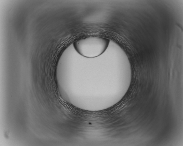 X0000101651441200807100928