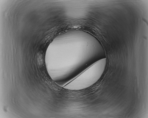 X0000101651442200807100928