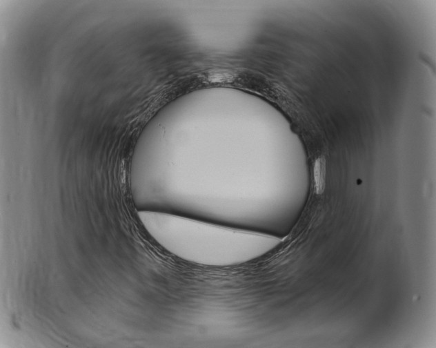 X0000101651443200807100928