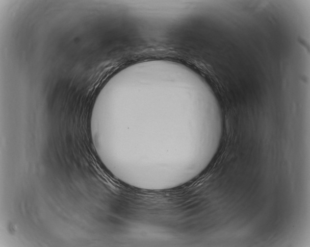 X0000101651444200807100928