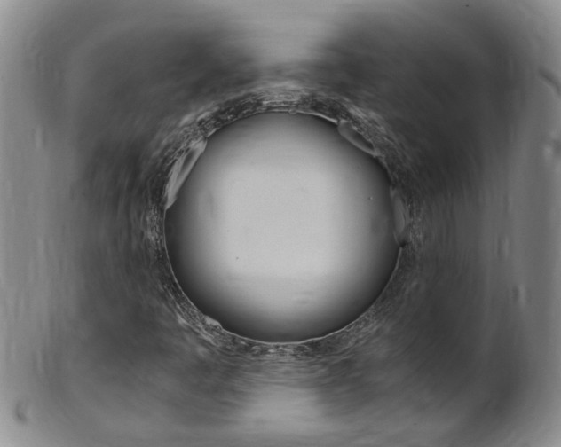 X0000101651445200807100928