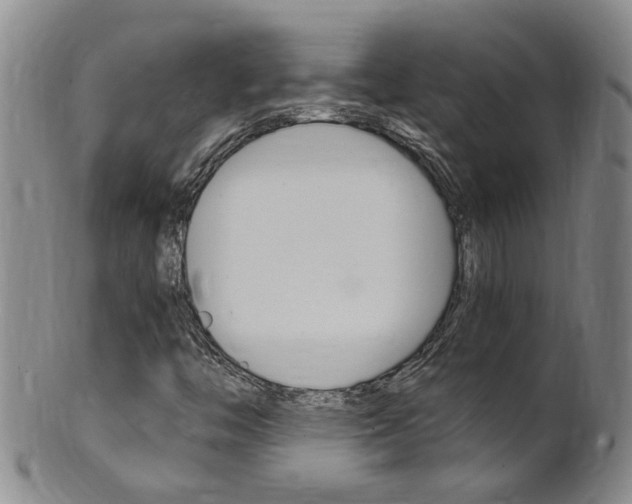 X0000101651446200807100928