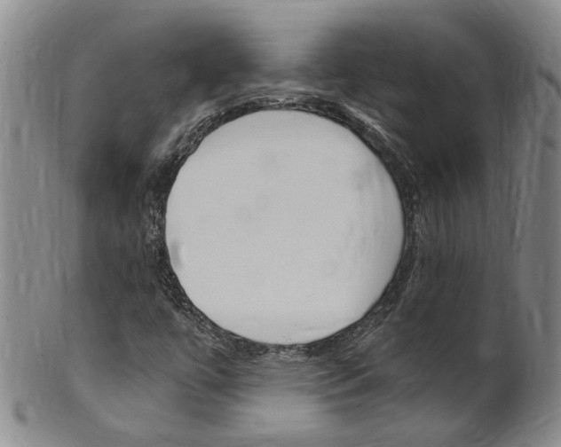 X0000101651447200807100928