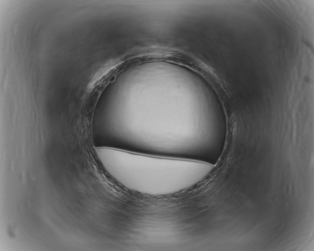 X0000101651448200807100928