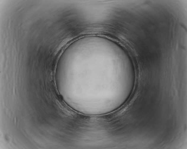 X0000101651449200807100928