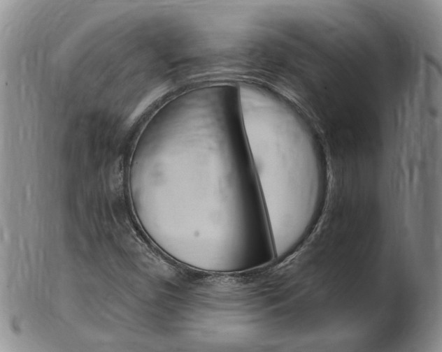 X0000101651450200807100928